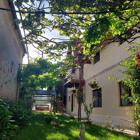 Holiday home Casa Bucium Bucium (Brasov)