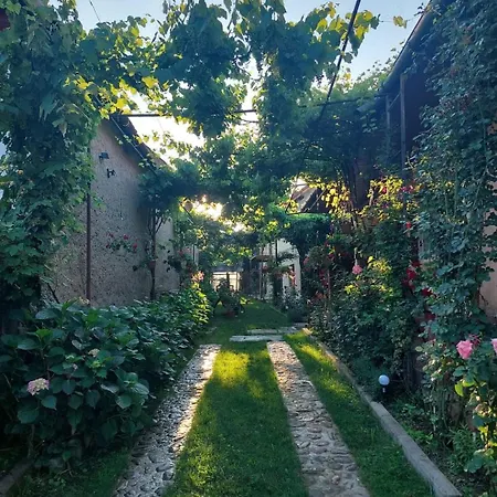Casa Bucium Holiday home Bucium (Brasov)
